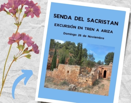 ¿Conoces la Senda del Sacristán en Ariza?